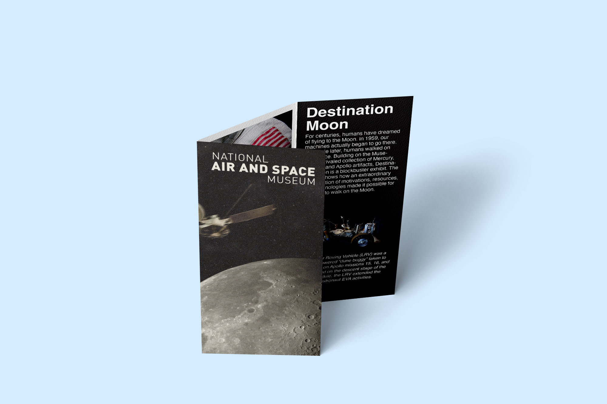 Mental Health Campaign vertical banner mockup